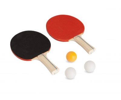 Теннисный стол для помещений EVO FITNESS Mini (в комплекте сетка, 2 ракетки, 3 мячика)